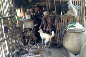 Viết tiếp về “Cuộc đời bất hạnh của bà cụ ăn xin” ngày ấy