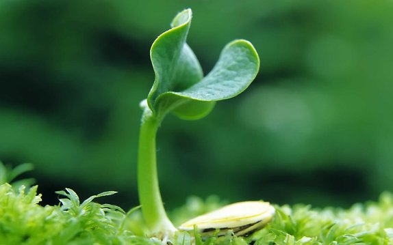 Trong hy vọng, được giải thoát_Lm FX. Thượng