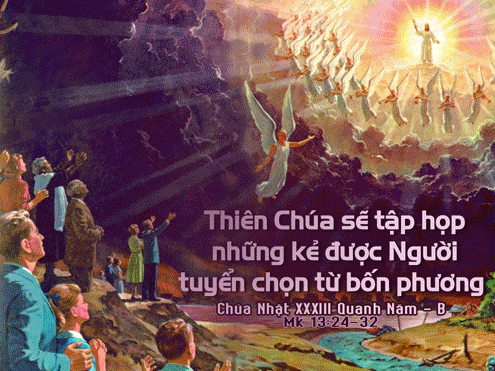 CN 33 TN nam B.gif