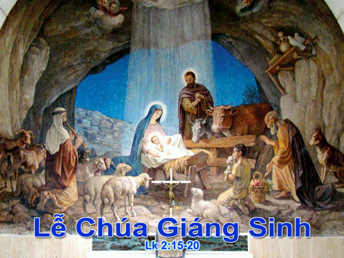 GS le rang dong _nam C 2012-2013.gif