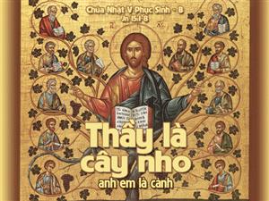 Suy niệm Chúa Nhật 5 Phục Sinh năm B_Lm Trầm Phúc