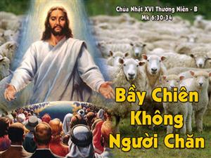 SUY NIỆM CHÚA NHẬT 16 THƯỜNG NIÊN năm B _LM Trầm Phúc