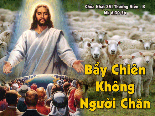 CN 16 TN nam B.gif