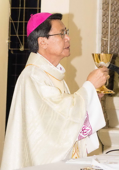 DC_Phero_cacthaynhaphoc_12.JPG