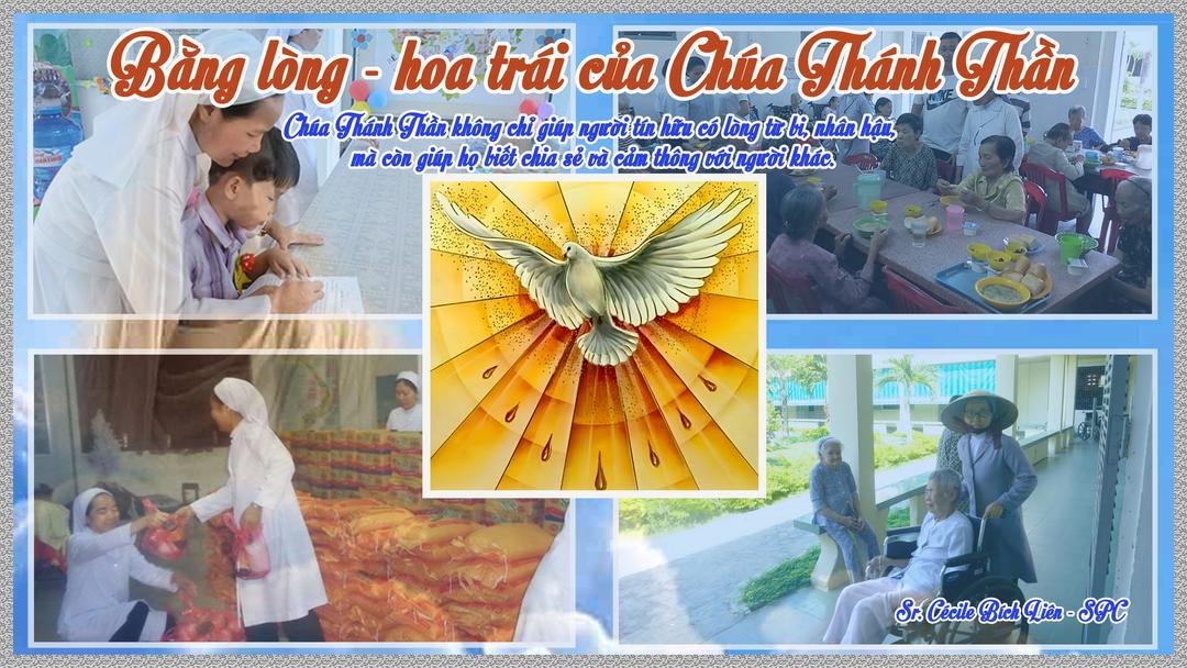 Bằng lòng - hoa trái của Chúa Thánh Thần