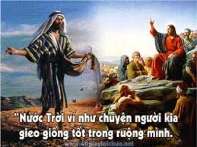 Bài giảng Lễ Chúa Nhật XVI TN - Giáo phận Mỹ Tho