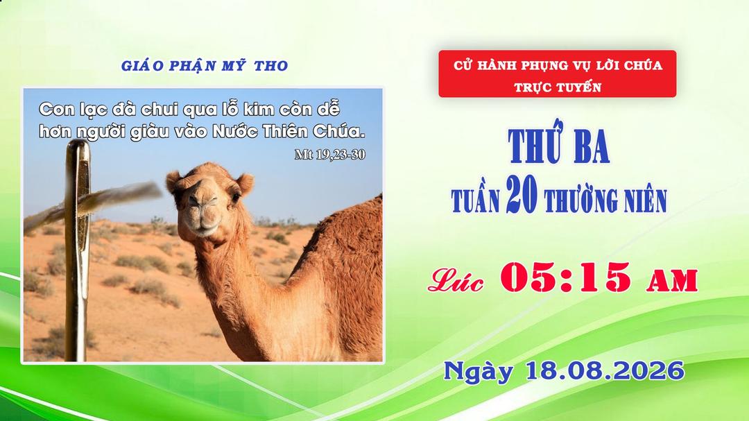 Phụng vụ Lời Chúa 5g15 ngày 18/08/2026 | Thứ Ba - Tuần XX Thường Niên | Giáo phận Mỹ Tho