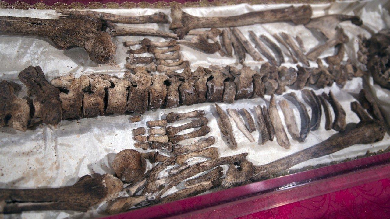 Hơn 150.000 người đã đăng ký viếng di hài Thánh Phanxicô Assisi