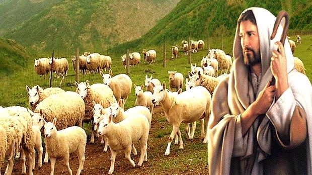 Bài giảng Lễ Chúa Nhật IV Phục Sinh - Giáo phận Mỹ Tho