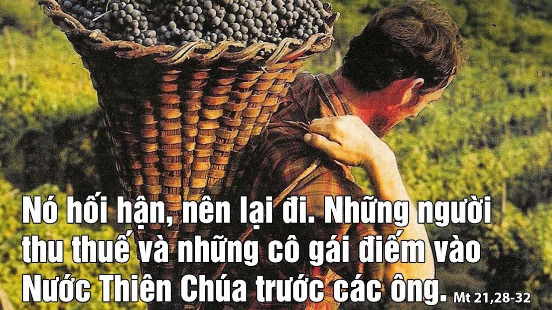 Bài giảng Lễ Chúa Nhật XXVI TN - Giáo phận Mỹ Tho