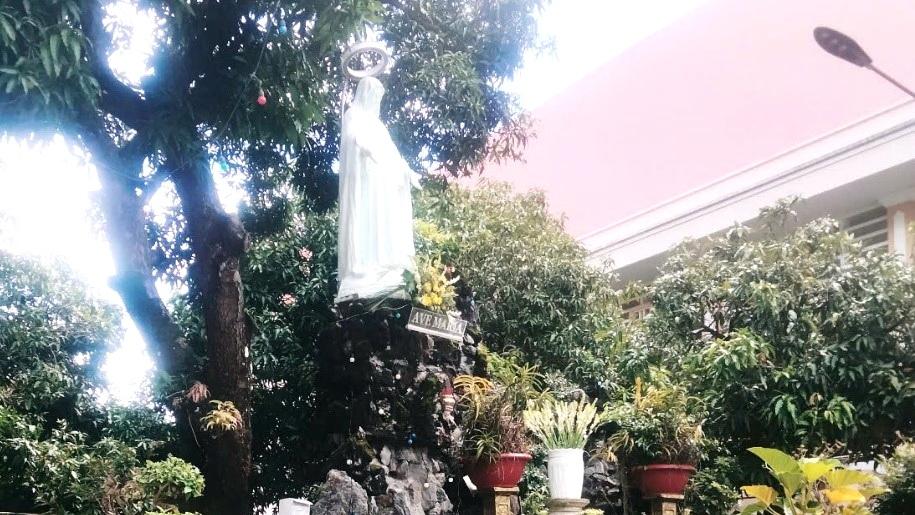 Vững lòng trông cậy cùng Mẹ Maria