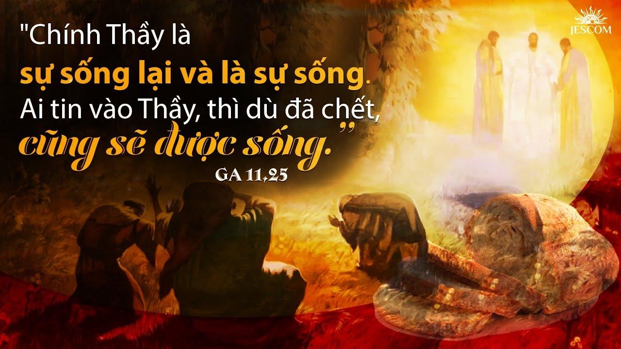 Bài giảng Lễ Chúa Nhật V MC - Giáo phận Mỹ Tho